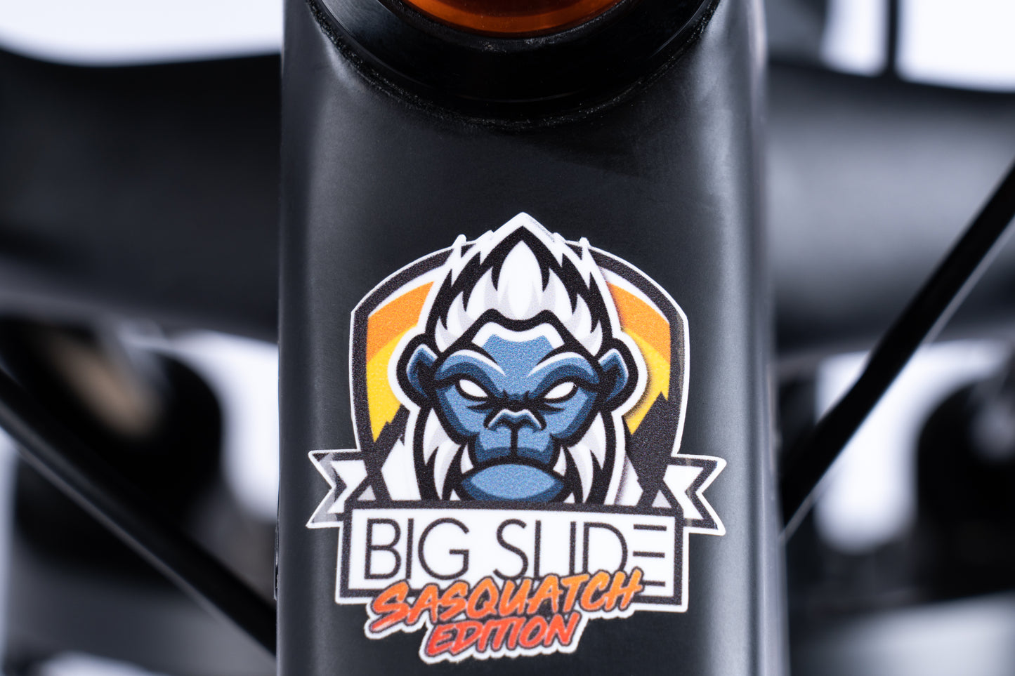 BIG SLIDE | FULL SUSPENSION FAT BIKE